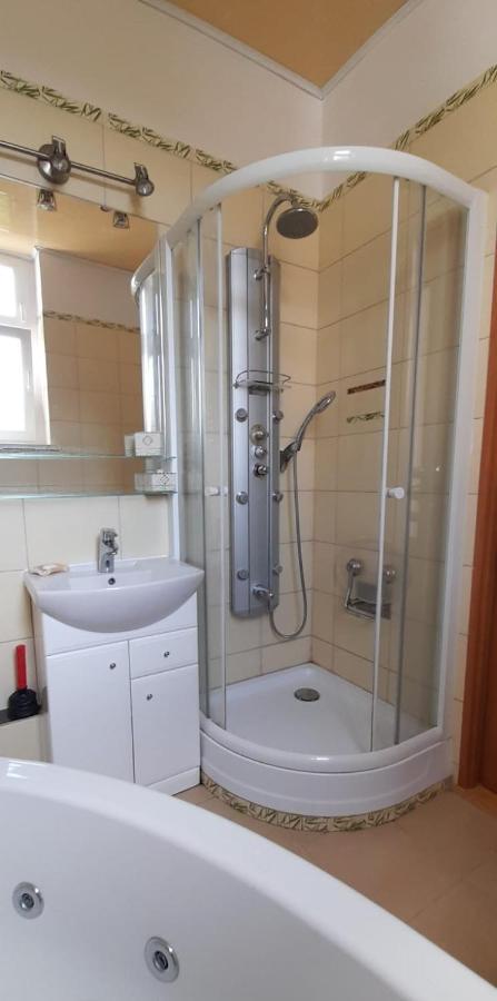 Апартаменти Apartament Kasztanowy Ґлівіце Екстер'єр фото