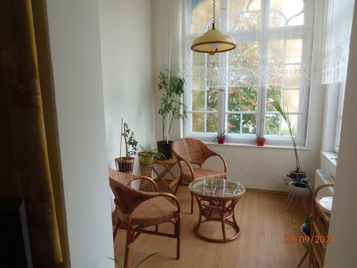 Апартаменти Apartament Kasztanowy Ґлівіце Екстер'єр фото